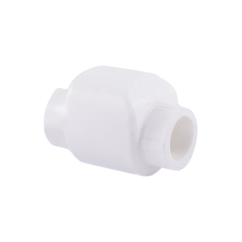 Клапан обратный ПП Ф20