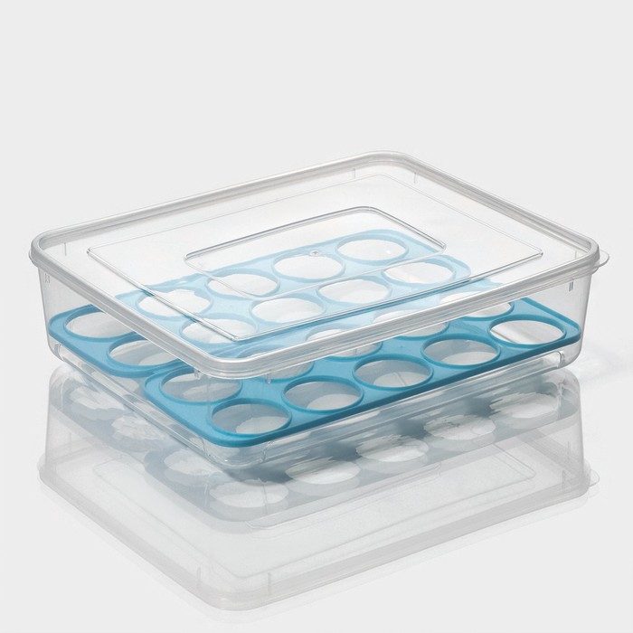 Контейнер для хранения яиц 20 ячеек 27,5х22х7см