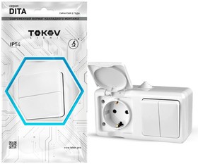 Блок ОП розетка 16А 250В с/з/ выключатель 2-кл 10А Dita IP54 белый TOKOV ELECTRIC